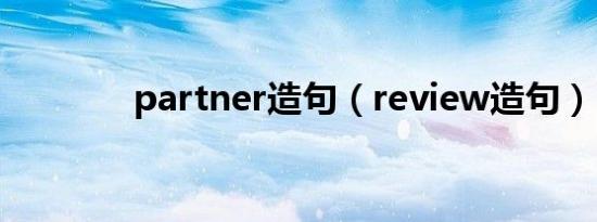 partner造句（review造句）