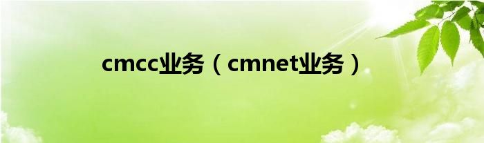 cmcc业务（cmnet业务）