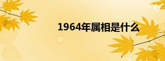 1964年属相是什么