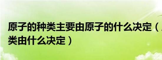 原子的种类主要由原子的什么决定（原子的种类由什么决定）