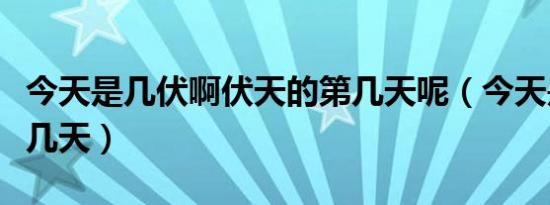 今天是几伏啊伏天的第几天呢（今天是几伏第几天）