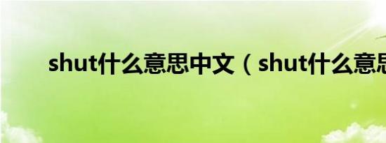 shut什么意思中文（shut什么意思）