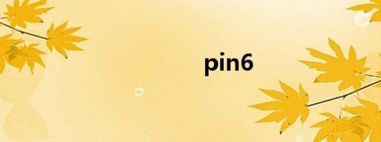 pin6