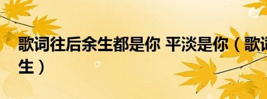 歌词往后余生都是你 平淡是你（歌词往后余生）