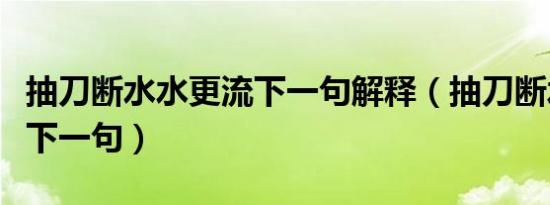 抽刀断水水更流下一句解释（抽刀断水水更流下一句）