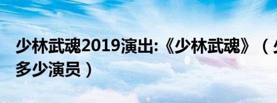 少林武魂2019演出:《少林武魂》（少林魂有多少演员）