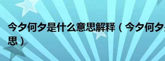 今夕何夕是什么意思解释（今夕何夕是什么意思）