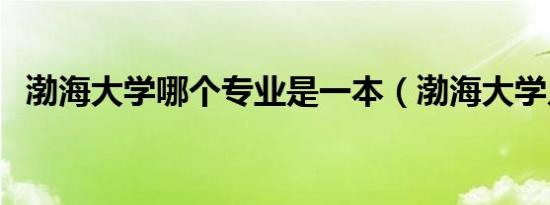 渤海大学哪个专业是一本（渤海大学几本）