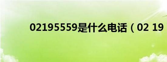 02195559是什么电话（02 19）