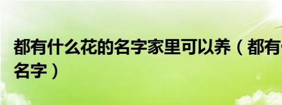 都有什么花的名字家里可以养（都有什么花的名字）