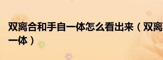 双离合和手自一体怎么看出来（双离合和手自一体）