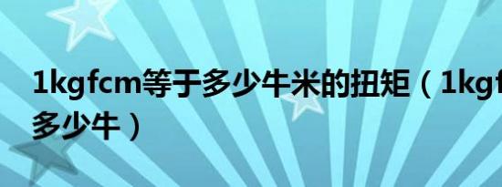 1kgfcm等于多少牛米的扭矩（1kgfcm等于多少牛）