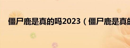 僵尸鹿是真的吗2023（僵尸鹿是真的吗）