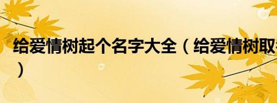 给爱情树起个名字大全（给爱情树取名字大全）