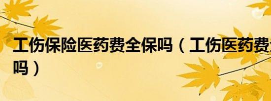 工伤保险医药费全保吗（工伤医药费全额报销吗）