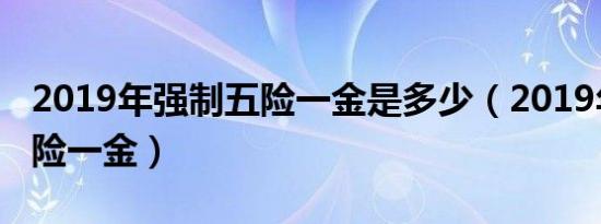 2019年强制五险一金是多少（2019年强制五险一金）