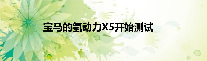 宝马的氢动力X5开始测试(图1)