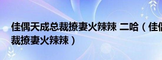 佳偶天成总裁撩妻火辣辣 二哈（佳偶天成总裁撩妻火辣辣）