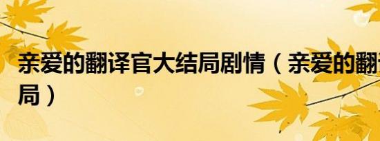 亲爱的翻译官大结局剧情（亲爱的翻译官大结局）