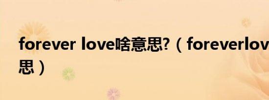 forever love啥意思?（foreverlove什么意思）