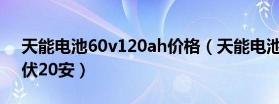 天能电池60v120ah价格（天能电池价格60伏20安）