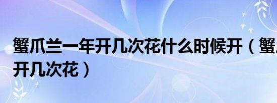 蟹爪兰一年开几次花什么时候开（蟹爪兰一年开几次花）