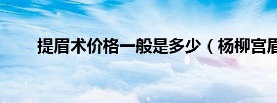 提眉术价格一般是多少（杨柳宫眉）