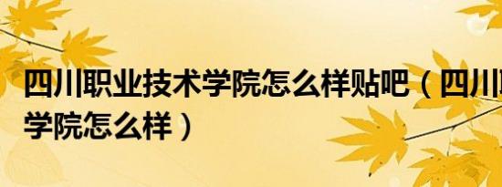 四川职业技术学院怎么样贴吧（四川职业技术学院怎么样）