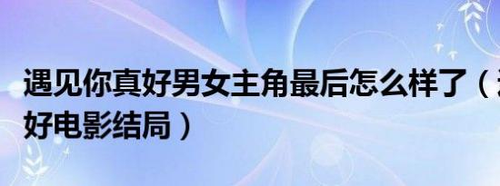 遇见你真好男女主角最后怎么样了（遇见你真好电影结局）