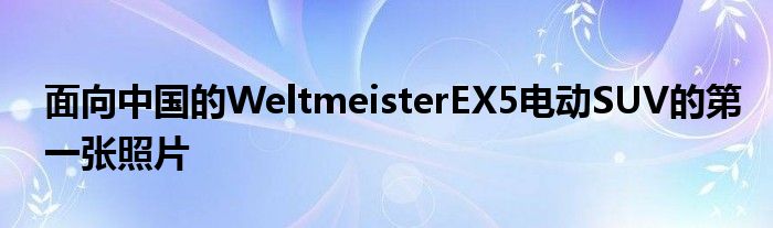 面向中国的WeltmeisterEX5电动SUV的第一张照片(图1)