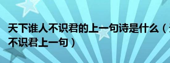 天下谁人不识君的上一句诗是什么（天下谁人不识君上一句）