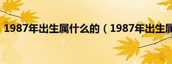 1987年出生属什么的（1987年出生属什么）