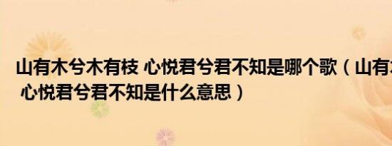 山有木兮木有枝 心悦君兮君不知是哪个歌（山有木兮木有枝 心悦君兮君不知是什么意思）