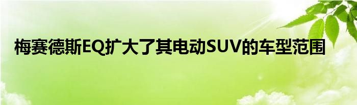 梅赛德斯EQ扩大了其电动SUV的车型范围(图1)