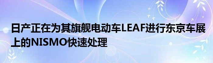 日产正在为其旗舰电动车LEAF进行东京车展上的NISMO快速处理(图1)