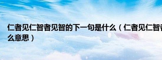 仁者见仁智者见智的下一句是什么（仁者见仁智者见智是什么意思）