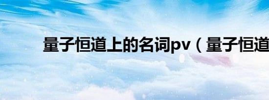 量子恒道上的名词pv（量子恒道）