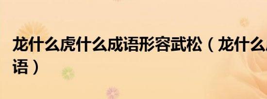 龙什么虎什么成语形容武松（龙什么虎什么成语）