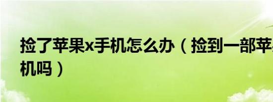 捡了苹果x手机怎么办（捡到一部苹果x能刷机吗）