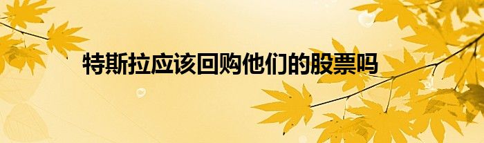 特斯拉应该回购他们的股票吗(图1)