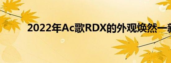 2022年Ac歌RDX的外观焕然一新