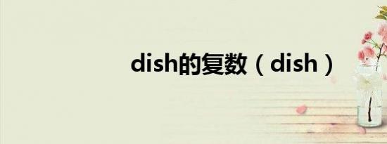 dish的复数（dish）