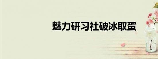 魅力研习社破冰取蛋