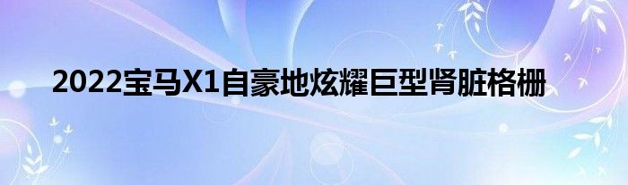 2022宝马X1自豪地炫耀巨型肾脏格栅(图1)