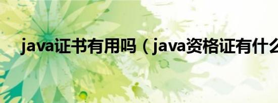 java证书有用吗（java资格证有什么用）