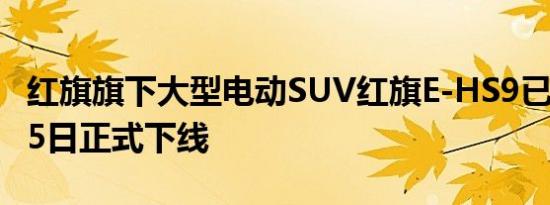 红旗旗下大型电动SUV红旗E-HS9已于11月15日正式下线