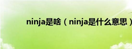 ninja是啥（ninja是什么意思）