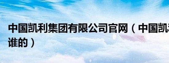 中国凯利集团有限公司官网（中国凯利集团是谁的）