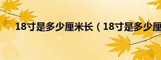 18寸是多少厘米长（18寸是多少厘米）