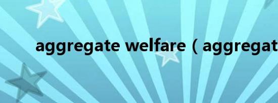 aggregate welfare（aggregate）